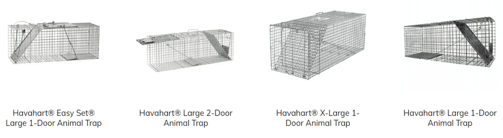 Havahart - Large 1-Door Animal Trap